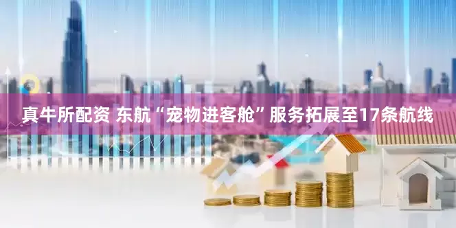 真牛所配资 东航“宠物进客舱”服务拓展至17条航线