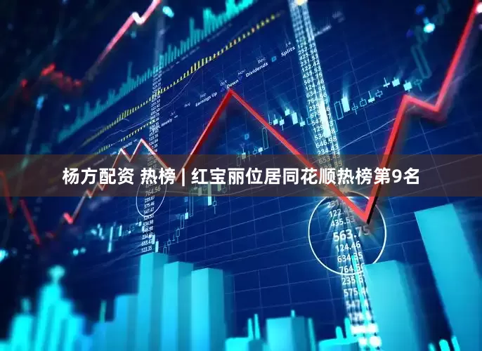 杨方配资 热榜 | 红宝丽位居同花顺热榜第9名